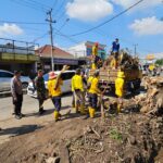 Polsek Weru Polresta Cirebon Bersama Koramil Weru Evakuasi Pohon Tumbang di Jalan Fatahillah